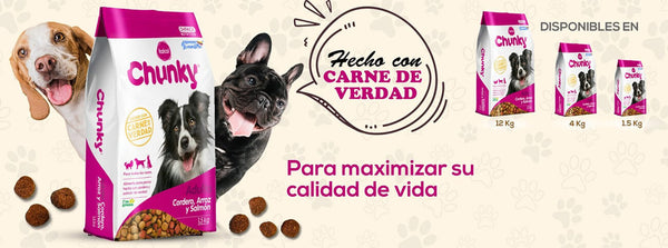 Champu y acondicionador Gato