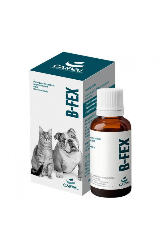 B-FEX POLVO PARA SUSPENSION ORAL 60ML (CEFALEXINA)
