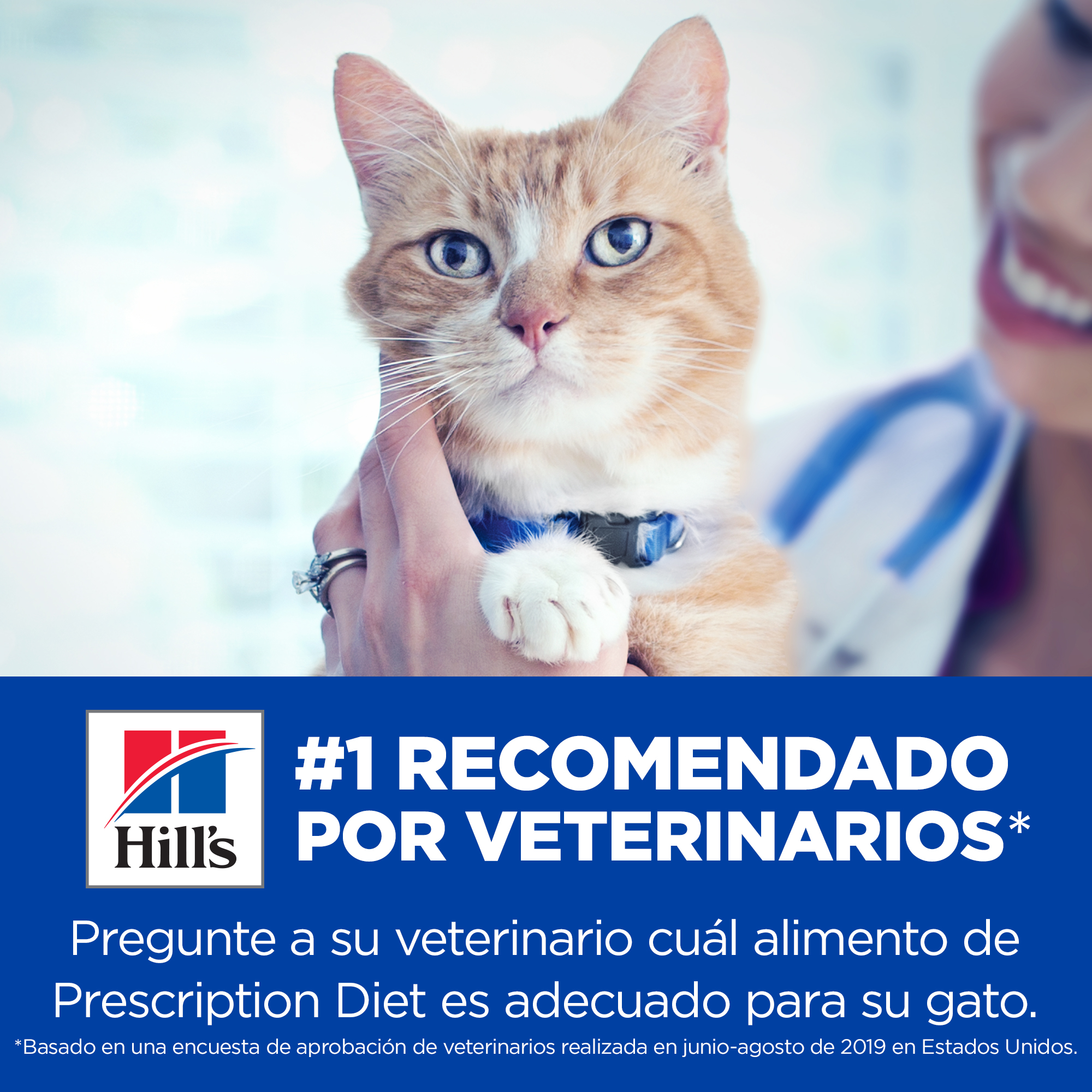 Comida para gato Hills cd Multicare Pollo 4 Lbs