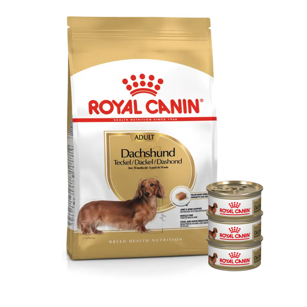 ROYAL CANIN DACHSHUND ADULTO 1.5 KILOS + 3 LATAS