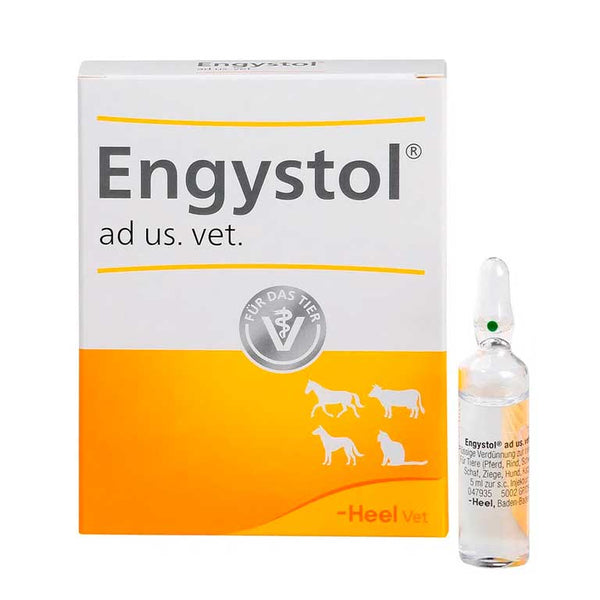 AMPOLLA ENGYSTOL 5ML