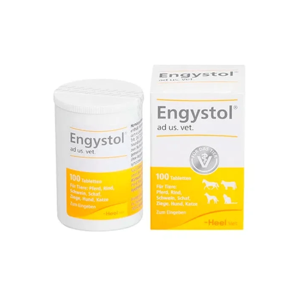 ENGYSTOL