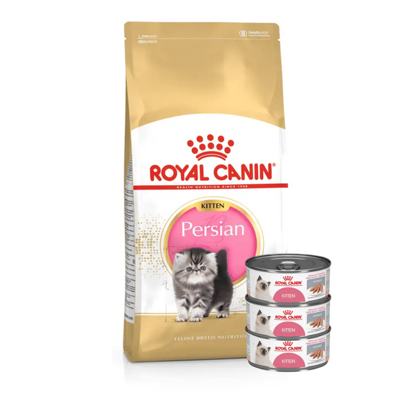 ROYAL CANIN PERSIAN GATITO/KITTEN *2 KILOS + 3 LATAS