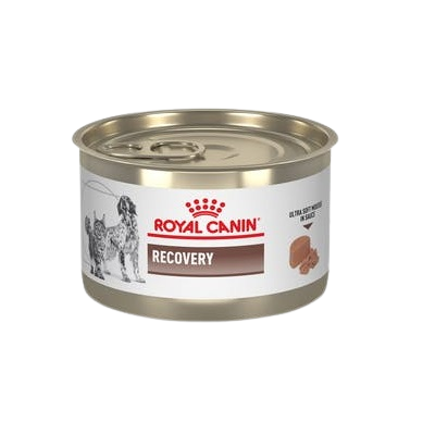 LATA ROYAL CANIN RECOVERY *145 GR/5.1 ONZ