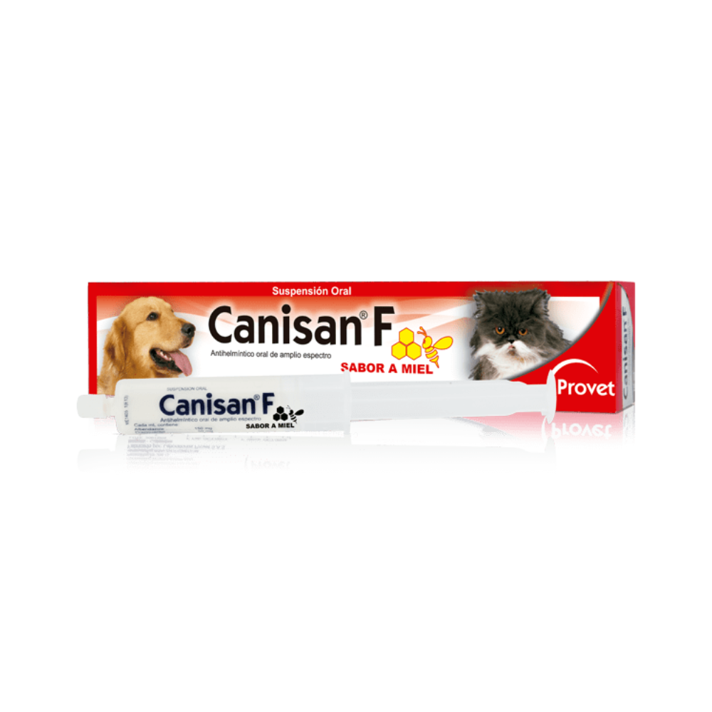 CANISAN F SUSPENSION