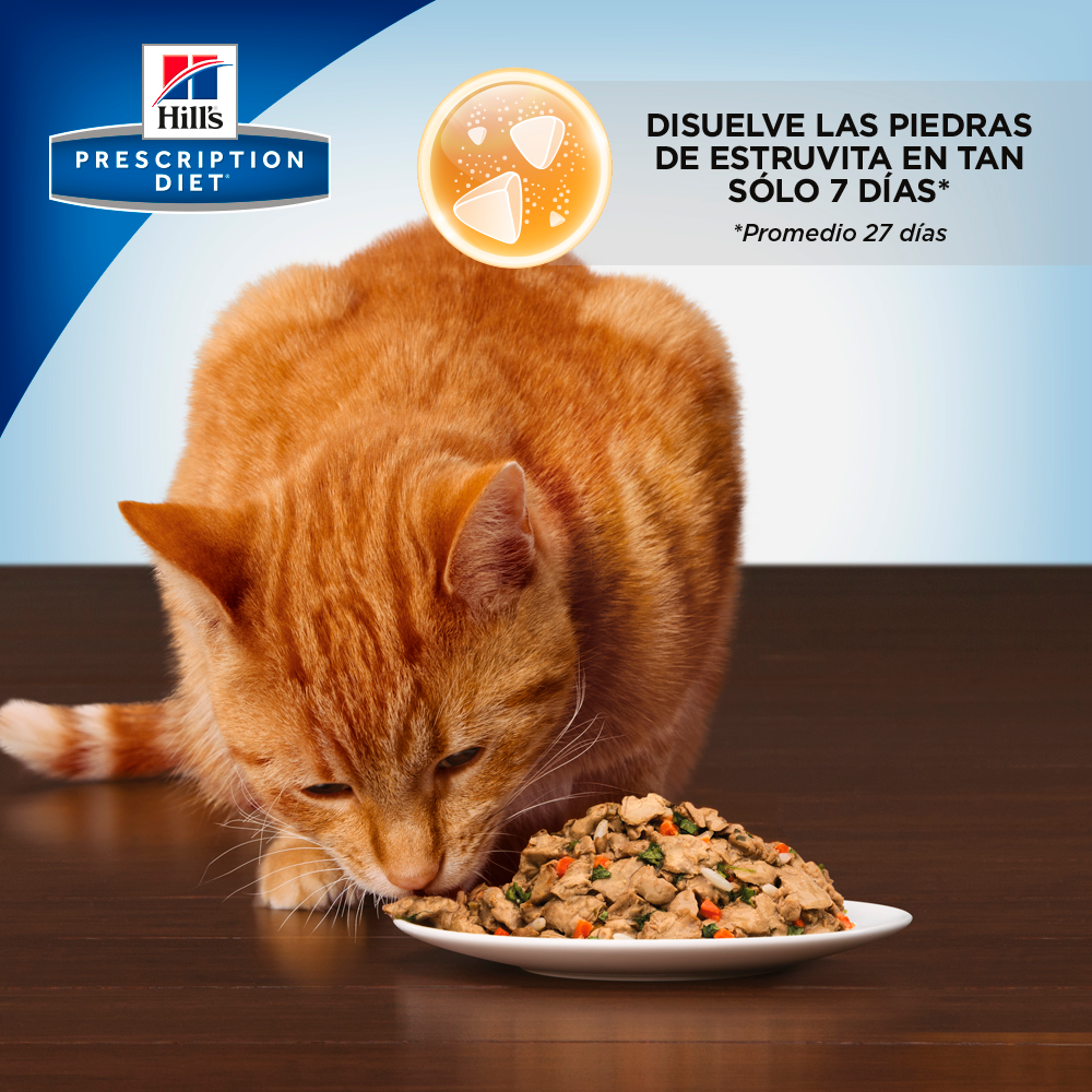 Comida para gato Hills cd Multicare Pollo 4 Lbs