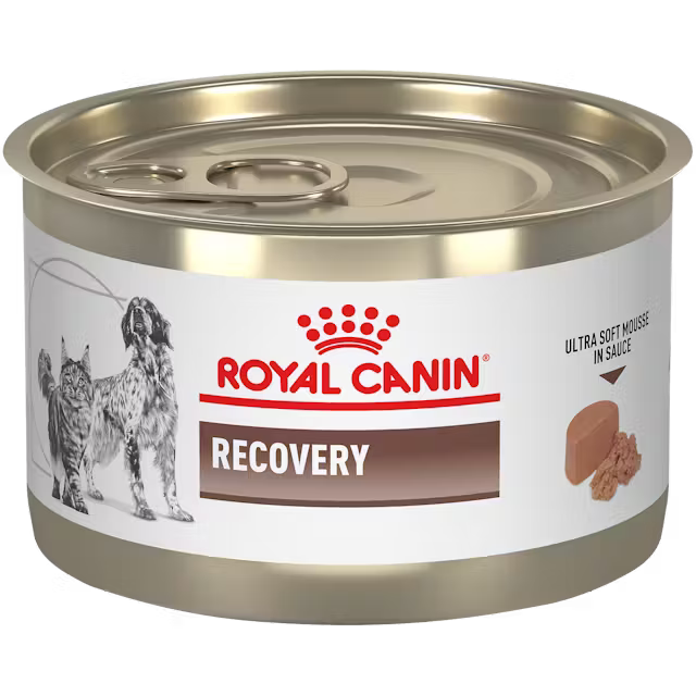 LATA ROYAL CANIN RECOVERY *145 GR/5.1 ONZ