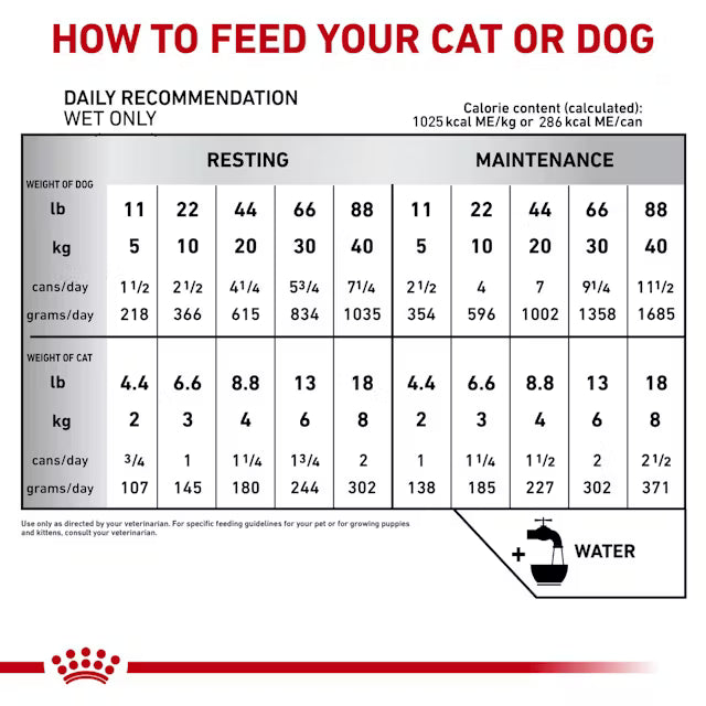 LATA ROYAL CANIN RECOVERY *145 GR/5.1 ONZ